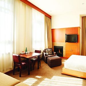 Studio Suite